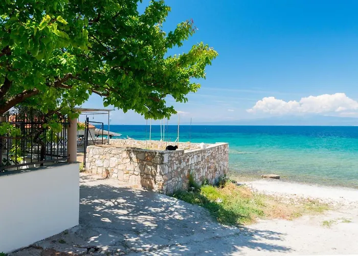 Ioanna Σκάλα Καλλιράχης